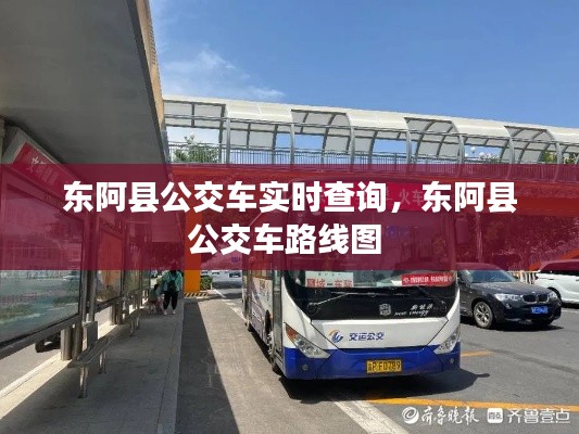 东阿县公交车实时查询,东阿县公交车路线图