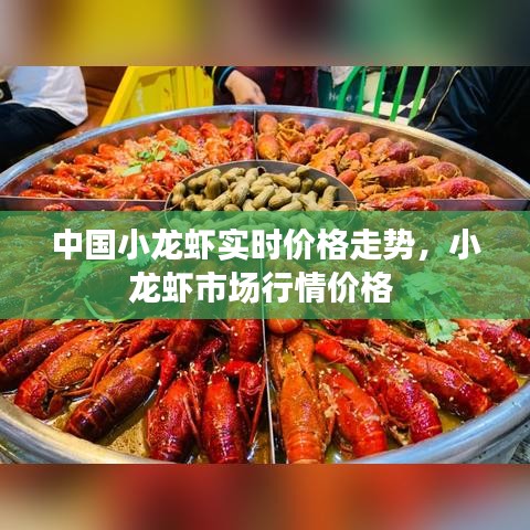 中国小龙虾实时价格走势,小龙虾市场行情价格