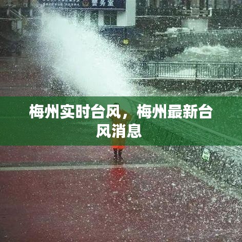 梅州实时台风,梅州最新台风消息