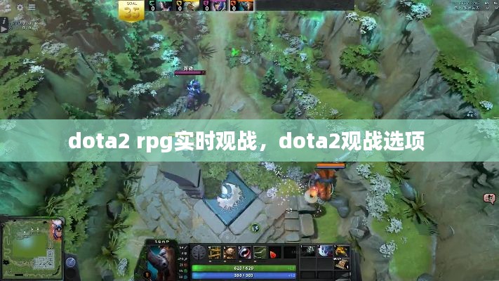 dota2 rpg实时观战，dota2观战选项 
