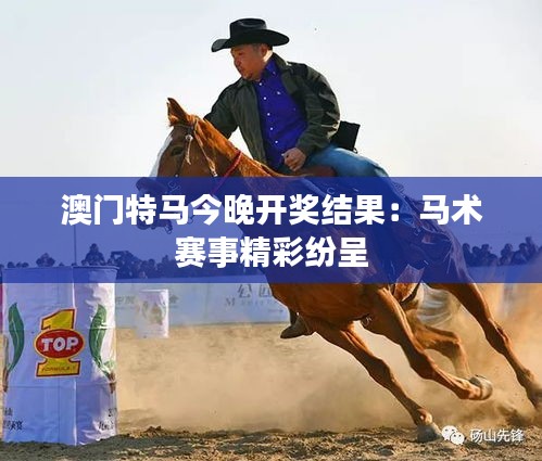 澳门特马今晚开奖结果:马术赛事精彩纷呈