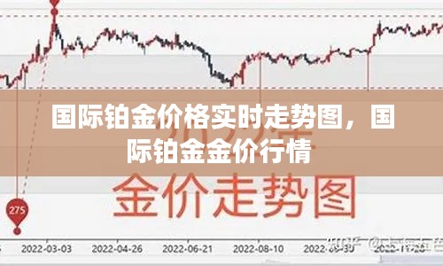 国际铂金价格实时走势图,国际铂金金价行情