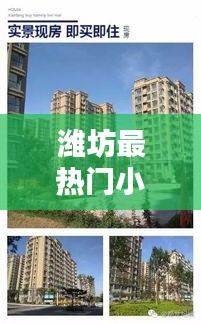 张王李赵 第5页