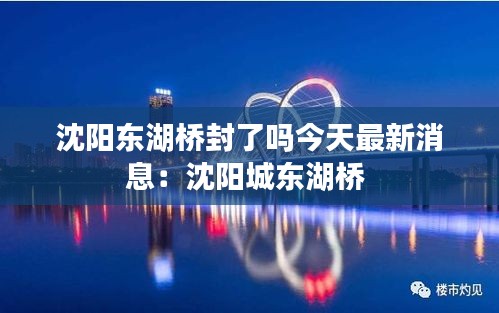 沈阳东湖桥封了吗今天最新消息:沈阳城东湖桥