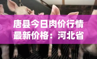 唐县今日肉价行情最新价格:河北省保定市唐县今日猪行情