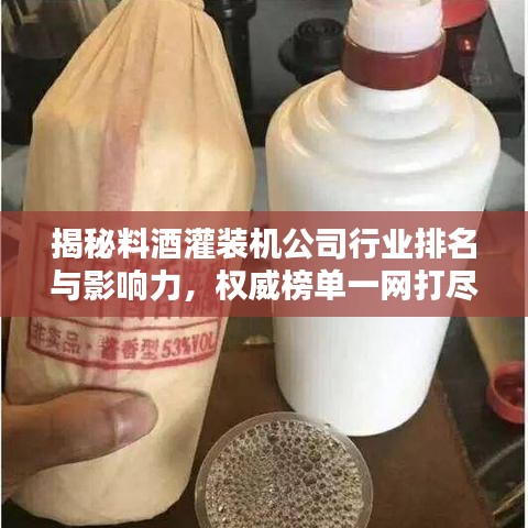 揭秘料酒灌装机公司行业排名与影响力，权威榜单一网打尽！