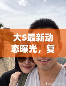 大S最新动态曝光,复出传闻掀起热议热议