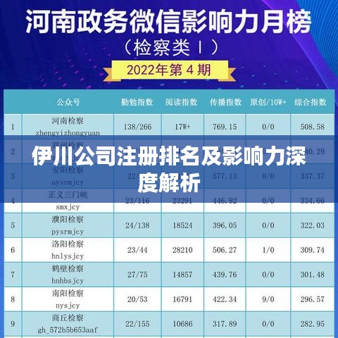 伊川公司注册排名及影响力深度解析