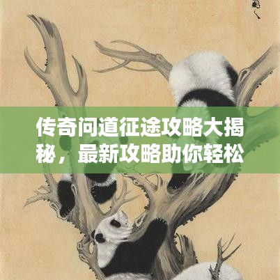 传奇问道征途攻略大揭秘,最新攻略助你轻松征服征途!