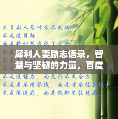 犀利人妻励志语录,智慧与坚韧的力量,百度收录标准标题