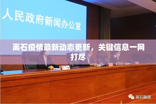 离石疫情最新动态更新,关键信息一网打尽