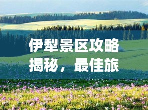 伊犁景区攻略揭秘，最佳旅游线路全掌握