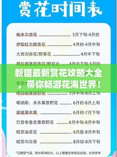 新疆最新赏花攻略大全,带你畅游花海世界!