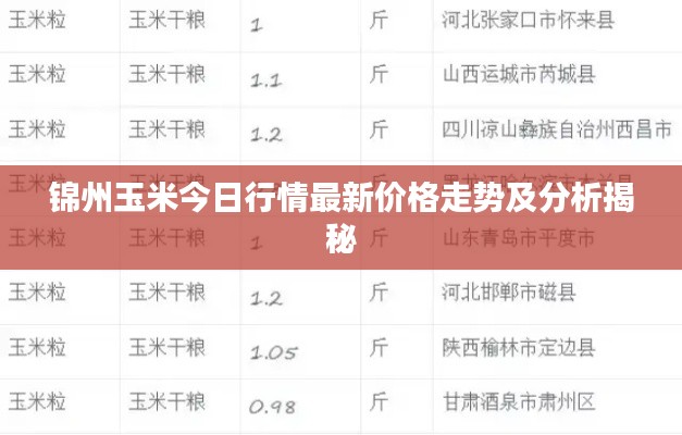 锦州玉米今日行情最新价格走势及分析揭秘