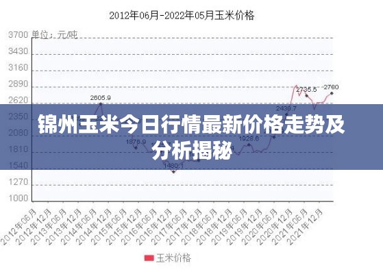 锦州玉米今日行情最新价格走势及分析揭秘
