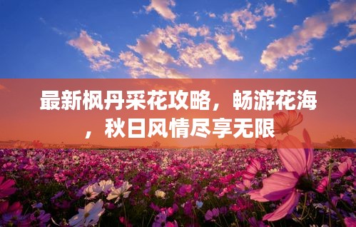 最新枫丹采花攻略，畅游花海，秋日风情尽享无限