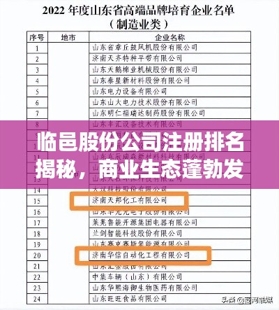 临邑股份公司注册排名揭秘,商业生态蓬勃发展,引领行业新风向!
