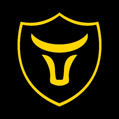 牛盾官方下载,高效策略设计解析_精英款_v4.711