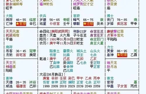 介绍,官方版八字排盘下载与生态项目详解