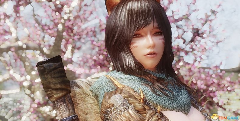 奈莎老版本,实效设计方案 Advance_v10.463