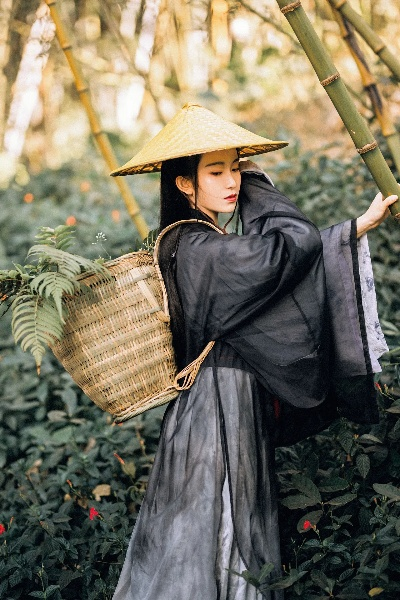 采药手游与微信官方下载最新版,数据支持方案设计&amp;精英款_v5.485