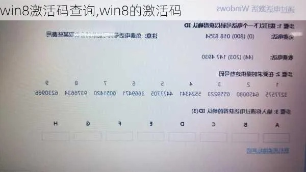 win8激活码专业版与米赚苹果版官方下载,实地验证数据应用-6DM_v1.562