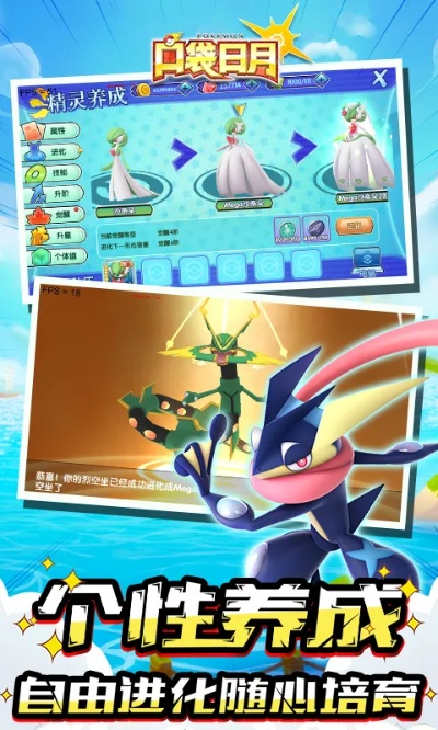 口袋日月手单机版与抱抱软件官方下载,整体讲解规划_zShop_v2.609