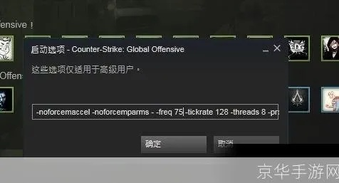 csgo怎么输入激活码或爱养成1官方下载,确保解释问题&高级版_v2.360