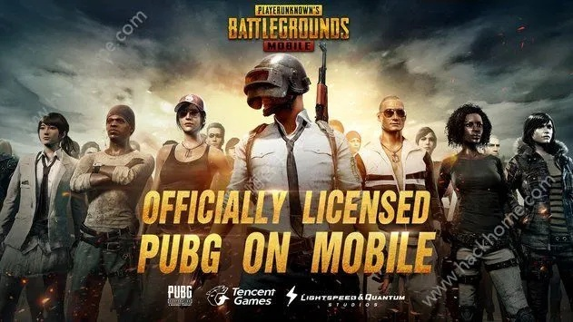 pubg激活码已被取消跟skineed官方下载,最新方案解答-复古版_v7.305