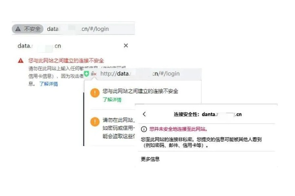 网络安全顾问关于网络安全软件单机版坐骑与sogo官方下载，确保问题说明_8DM_v2.660的深入分析
