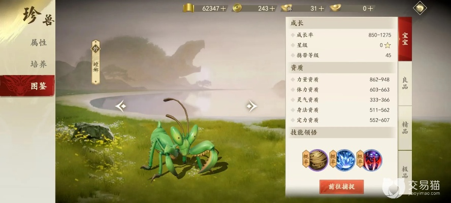 天龙手游螳螂和皮皮高清官方下载,综合分析解释定义|影像版_v2.481