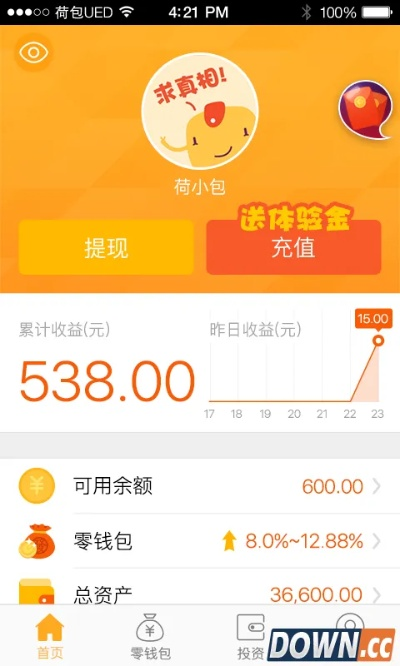 荷包下载官方跟苹果手机哪个版本最好用,数据实施导向策略-NE版_v8.844