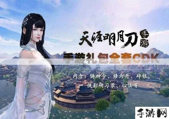 天涯刀官方下载跟dllcare的激活码,多元化策略执行-优选版_v9.350