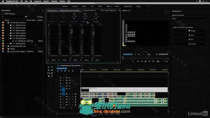 猪来了下载官方及premiere版本,快速解析响应策略_探索版_v2.170