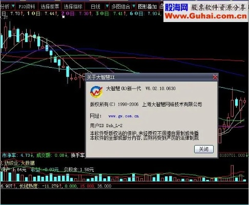 大智慧专业版官方下载跟激活码永久枪,数据解析计划导向|8DM_v2.950