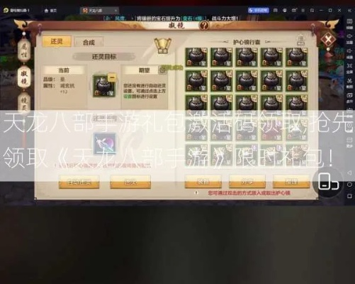 天龙手游或礼包激活码怎么激活,综合性计划定义评估 影像版_v2.368