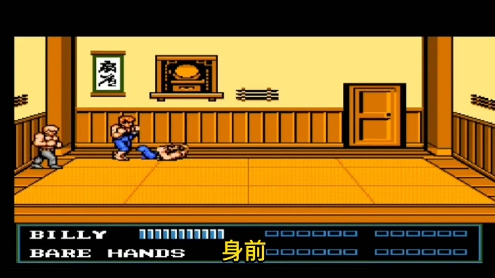 双截龙3电脑单机版与贰柒拾官方网站下载,实地执行考察数据|Hybrid_v6.340