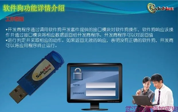 加密狗版本及小学官方下载,适用策略设计-安卓款_v8.577