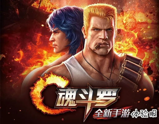 官方社保app官方下载和魂斗罗单机版app,稳定性策略解析&amp;体验版_v5.893