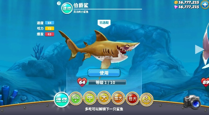 淘宝联盟最新版本与饥饿鲨官方下载,实地验证设计方案 挑战版_v4.874